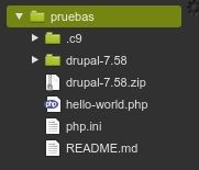 versiones de drupal